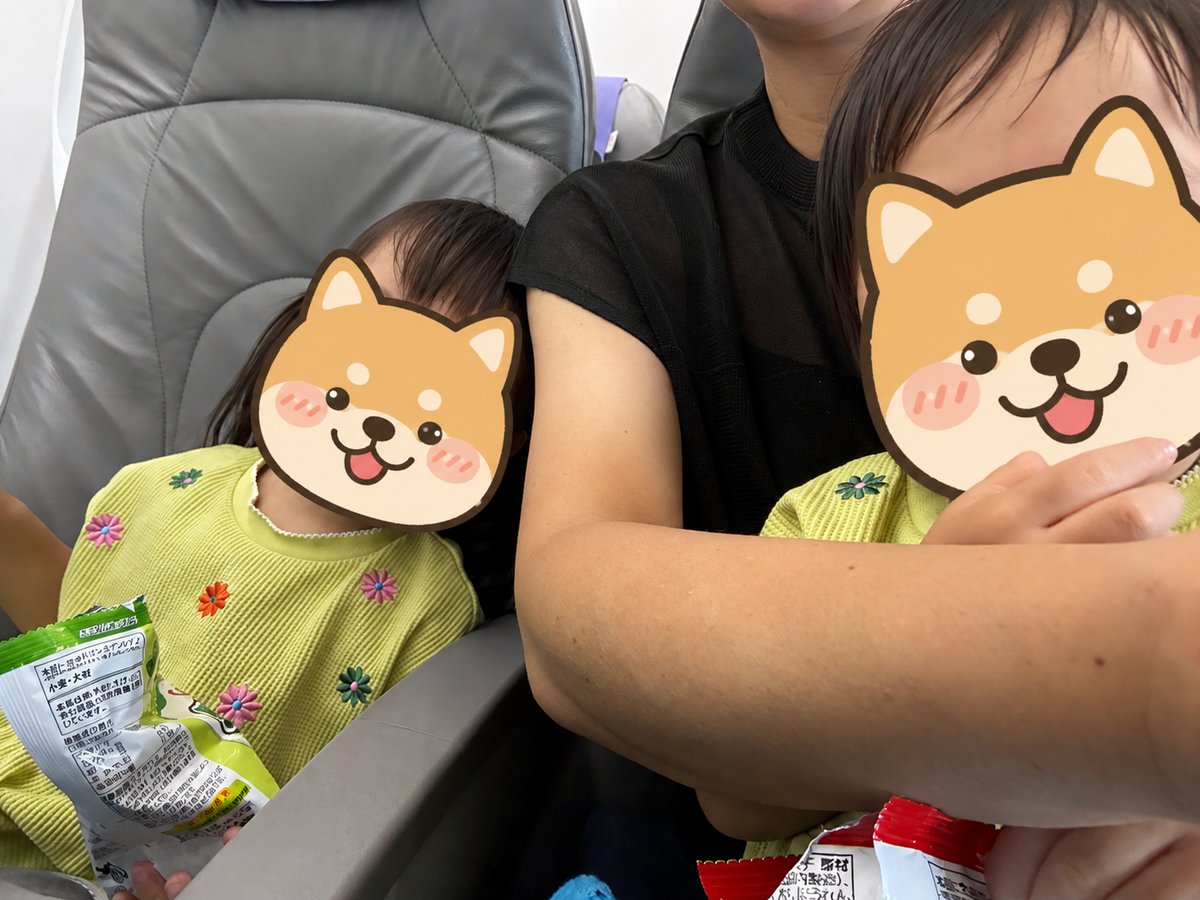 飛行機の座席で母に寄りかかって眠る1歳と、起きている3歳